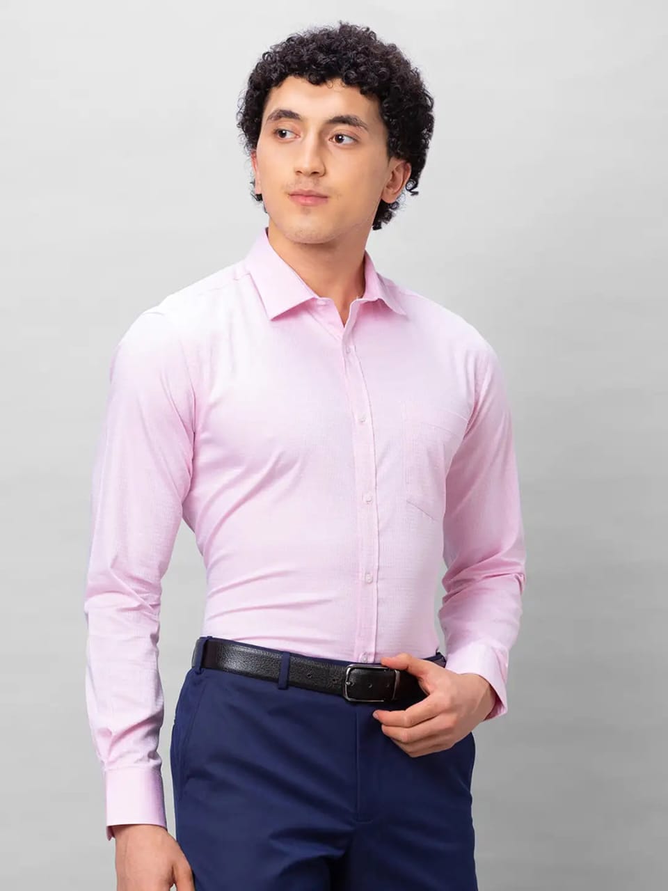 Park Avenue Men Pink Structured Slim Fit Cotton Formal Shirt